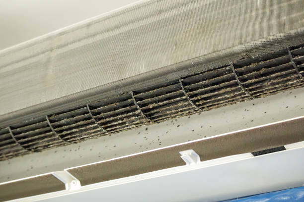 Best Affordable Duct Cleaning Services  in Lake Park, GA